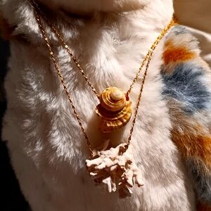 Fossilized coral necklace and a green seashell on a gold chain